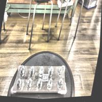 Dataset Image