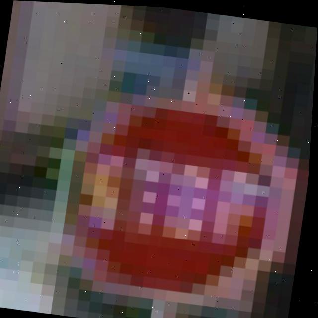 Dataset Image