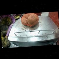 Dataset Image