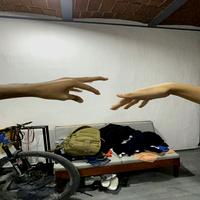 Dataset Image
