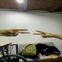 Dataset Image