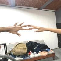 Dataset Image