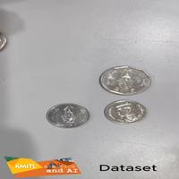 Dataset Image