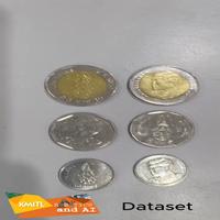 Dataset Image