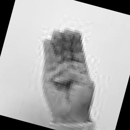 Dataset Image