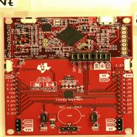 Dataset Image