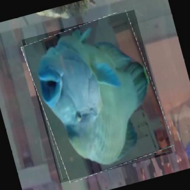 Dataset Image