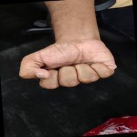 Dataset Image