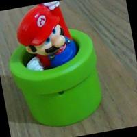 Dataset Image