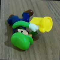 Dataset Image
