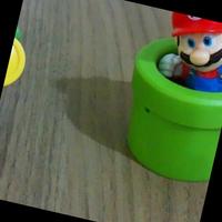 Dataset Image