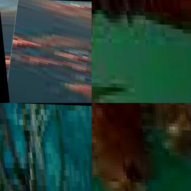 Dataset Image