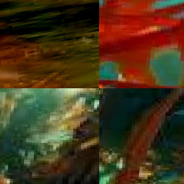 Dataset Image