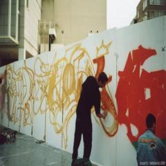 Dataset Image