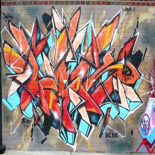 Dataset Image