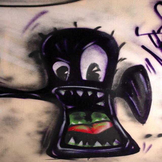 Dataset Image