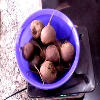 Dataset Image