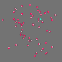 Annotation Visualization