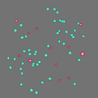 Annotation Visualization