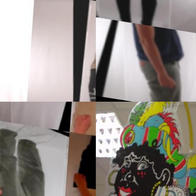 Dataset Image