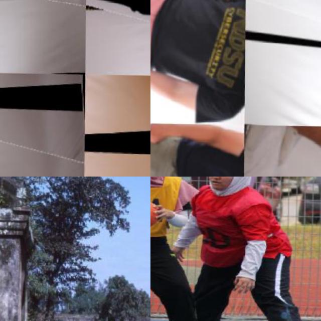 Dataset Image