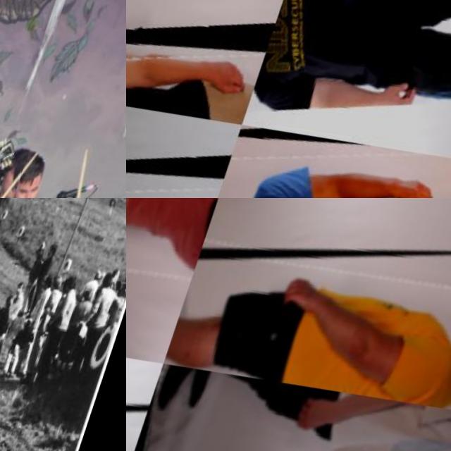Dataset Image