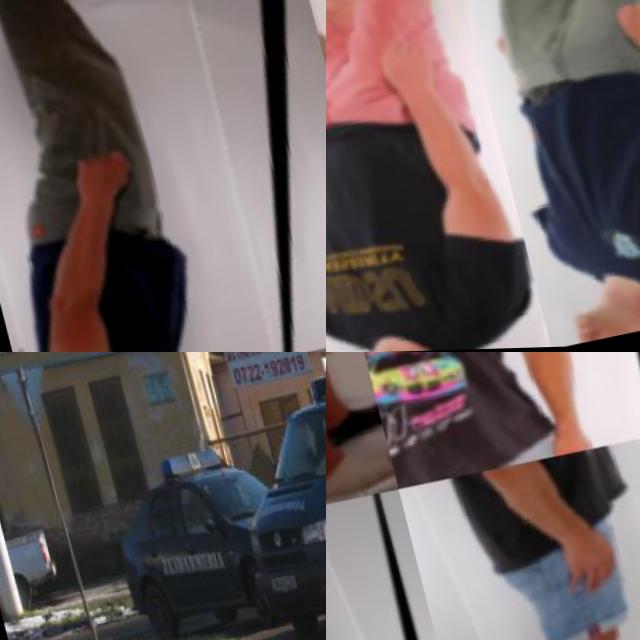 Dataset Image