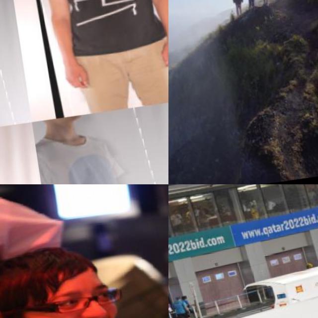 Dataset Image