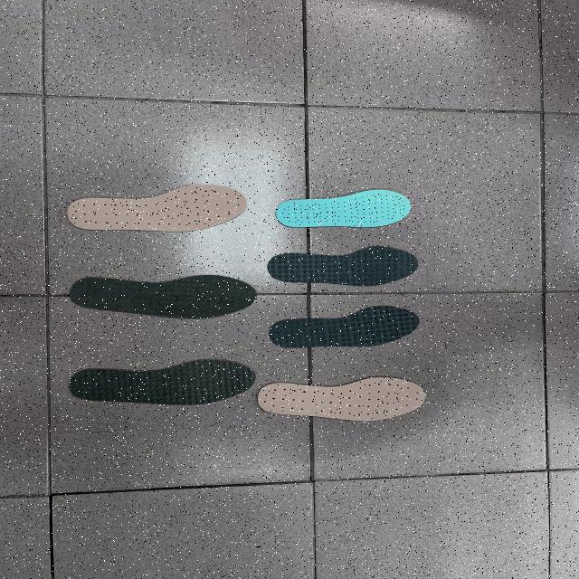 Dataset Image