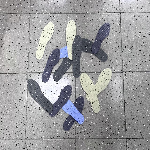 Dataset Image