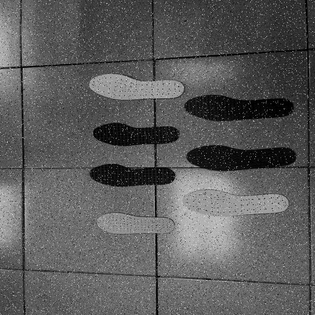 Dataset Image