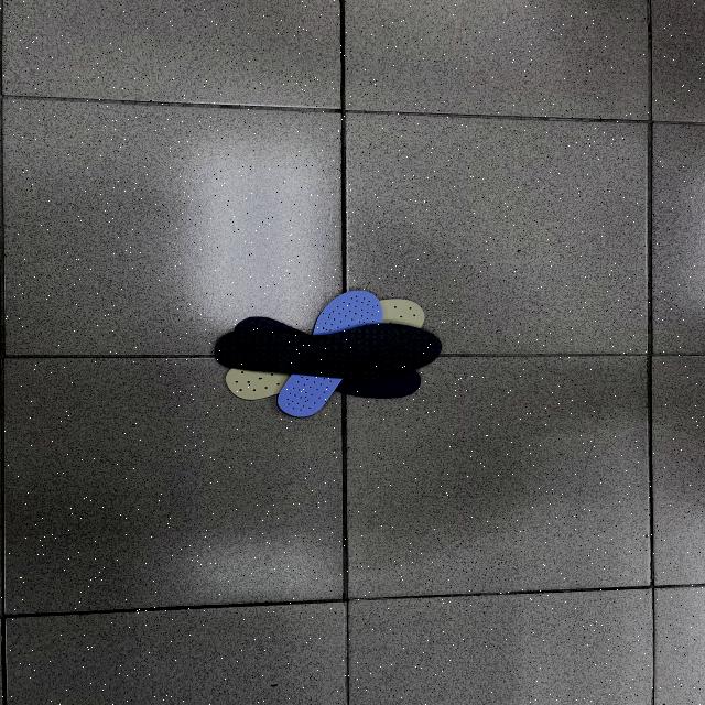 Dataset Image